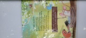 Enlarge photo 260