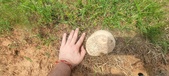 Enlarge photo 250