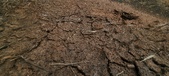 Enlarge photo 241