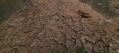 Enlarge photo 242