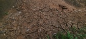 Enlarge photo 238