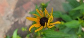 Enlarge photo 235
