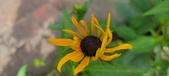Enlarge photo 231