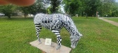 Enlarge photo 224