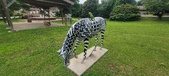 Enlarge photo 225