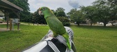 Enlarge photo 226