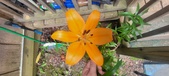 Enlarge photo 211