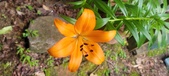 Enlarge photo 209