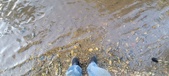 Enlarge photo 207