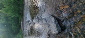 Enlarge photo 206