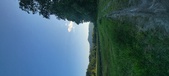 Enlarge photo 202