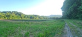 Enlarge photo 201