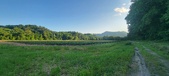 Enlarge photo 200