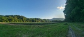 Enlarge photo 199