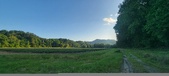 Enlarge photo 195