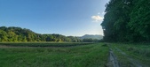 Enlarge photo 198