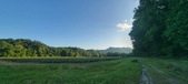 Enlarge photo 197