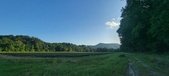 Enlarge photo 196