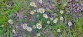 Enlarge photo 192