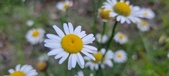 Enlarge photo 189