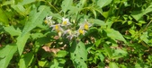 Enlarge photo 167