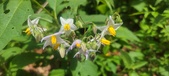 Enlarge photo 168