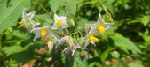 Enlarge photo 166