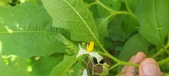 Enlarge photo 165