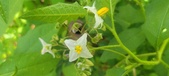 Enlarge photo 164