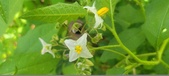 Enlarge photo 169