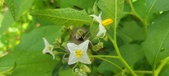 Enlarge photo 163