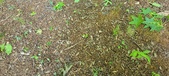 Enlarge photo 158