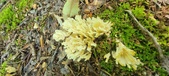 Enlarge photo 156