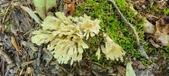 Enlarge photo 149