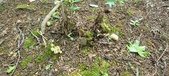 Enlarge photo 150
