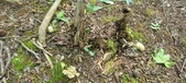 Enlarge photo 151