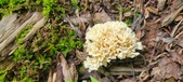 Enlarge photo 148