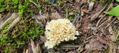 Enlarge photo 147