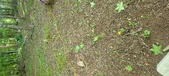 Enlarge photo 145