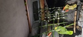 Enlarge photo 144