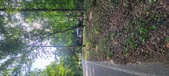 Enlarge photo 146