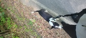 Enlarge photo 141