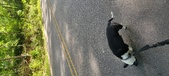 Enlarge photo 140