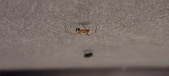 Enlarge photo 138