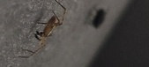 Enlarge photo 136