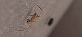Enlarge photo 133