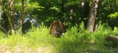 Enlarge photo 129