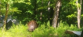 Enlarge photo 128