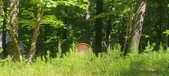 Enlarge photo 127
