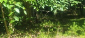 Enlarge photo 126